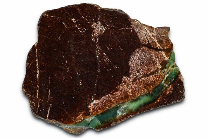 Polished Green Chrysoprase Section - Western Australia #364244